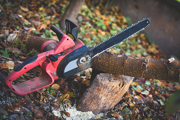 Best Tree Trimming and Pruning  in Rkville, PA